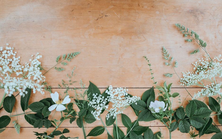 annie-spratt-OWq8w3BYMFY-unsplash_edited.jpg