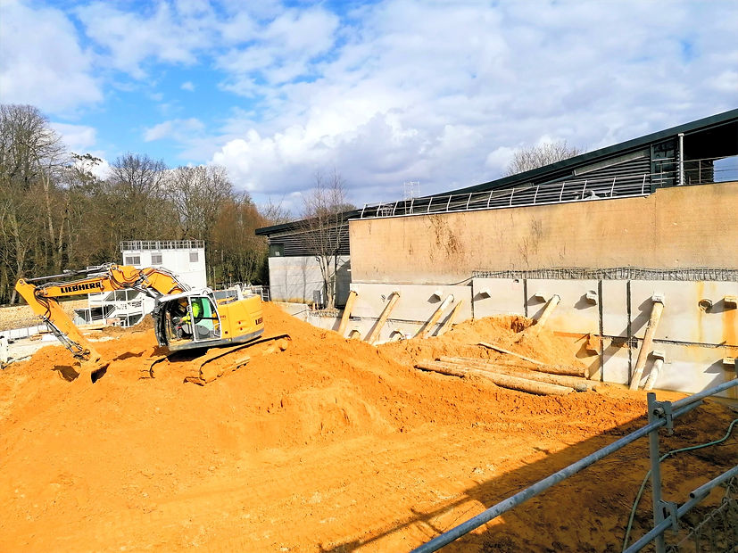 Parois parisienne et berlinoise batiment