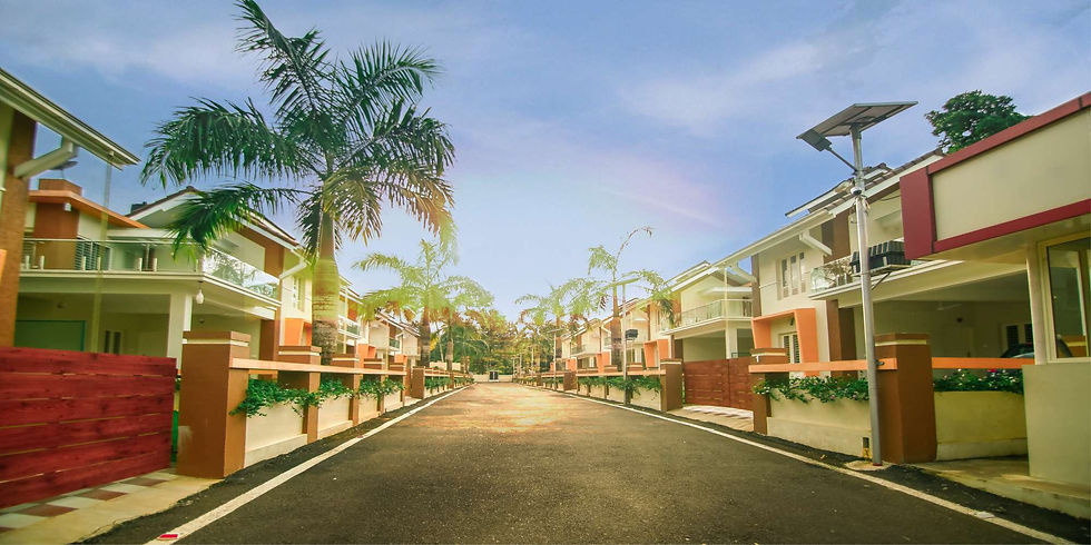 website home banner-1.jpg