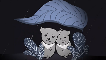 3a.PNG