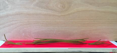 "Les champs de blé"