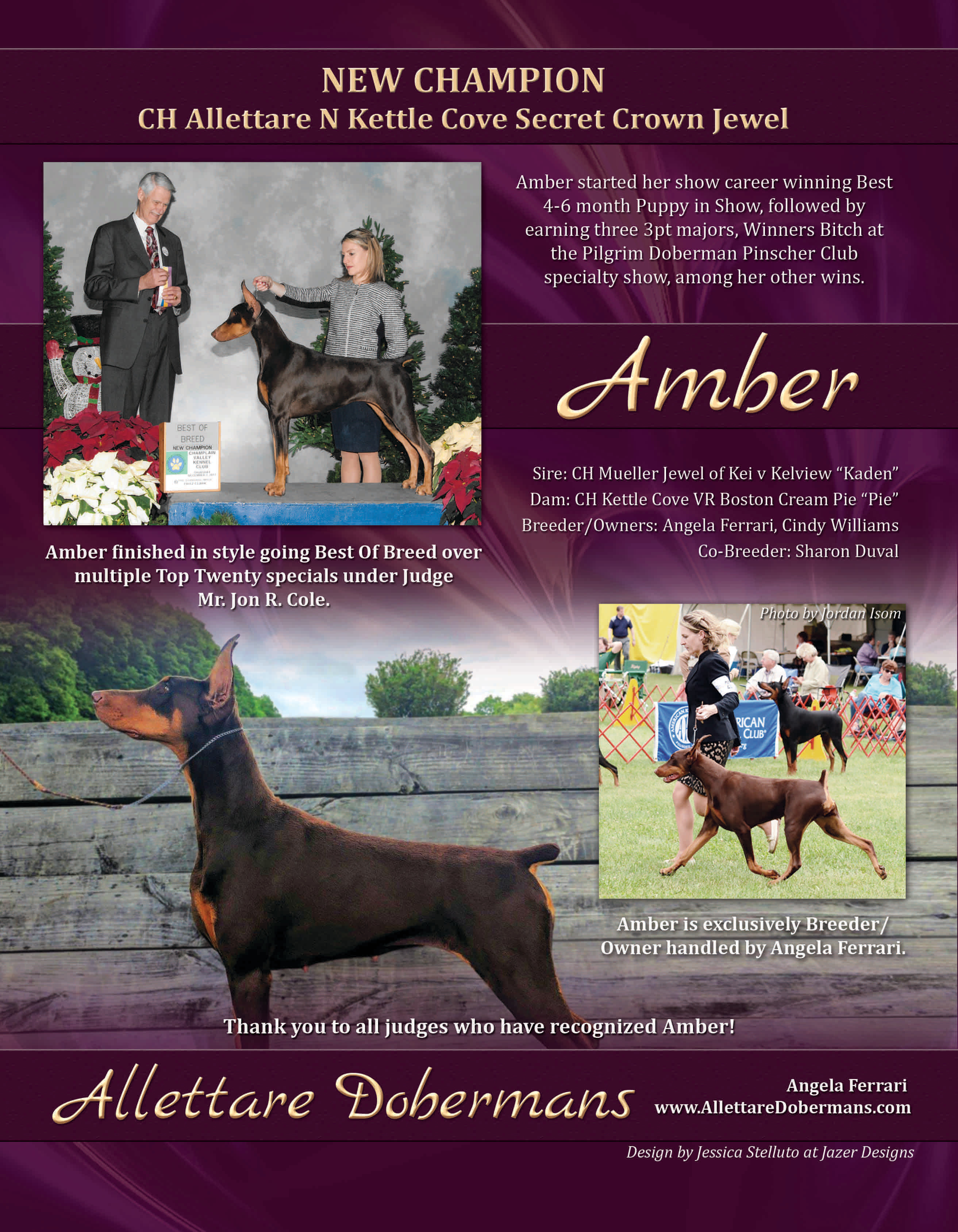 New Champion Amber
