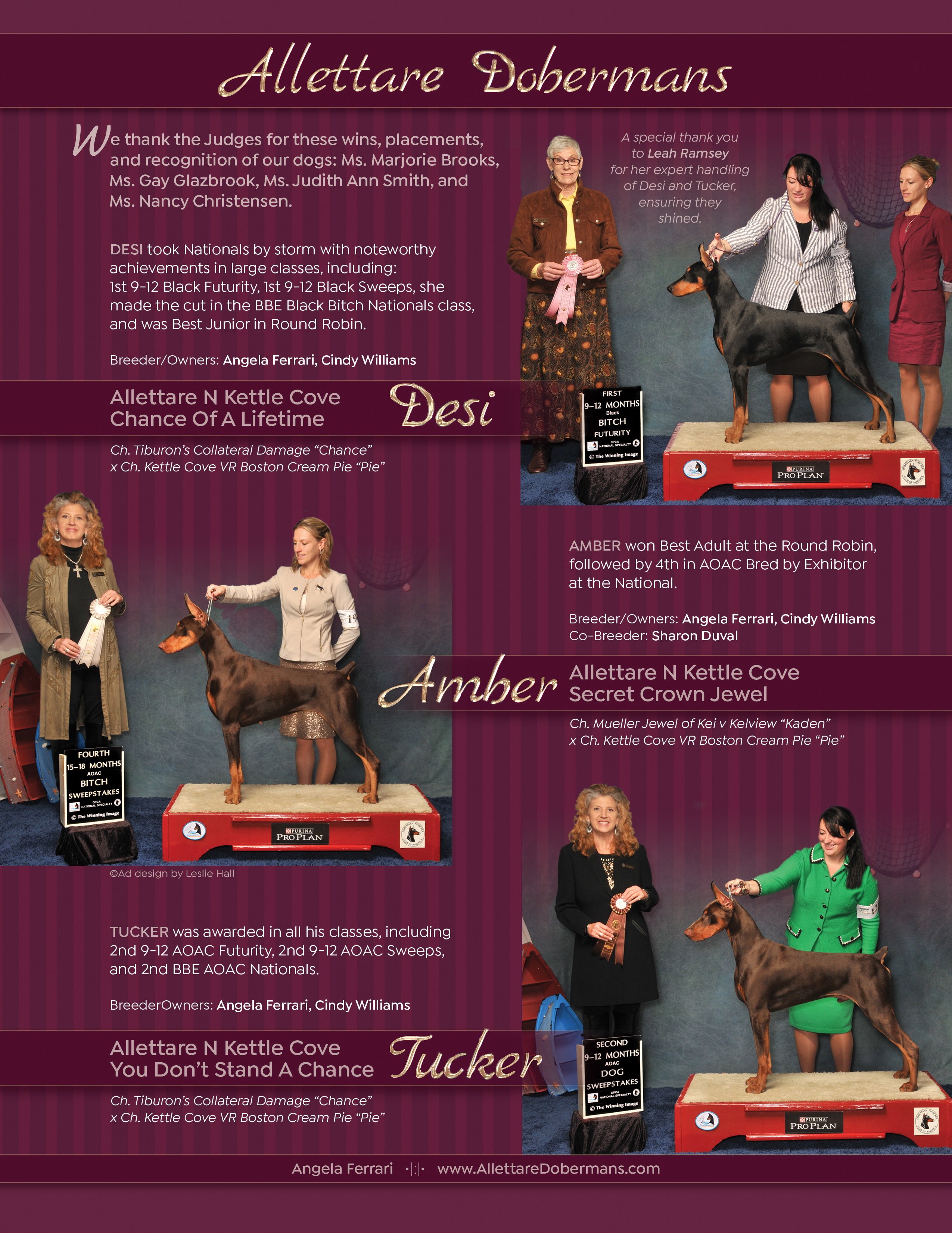 2017 Doberman Nationals