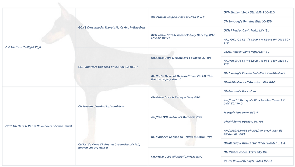 Screenshot 2025-10-27 at 9.50.35 PM.png