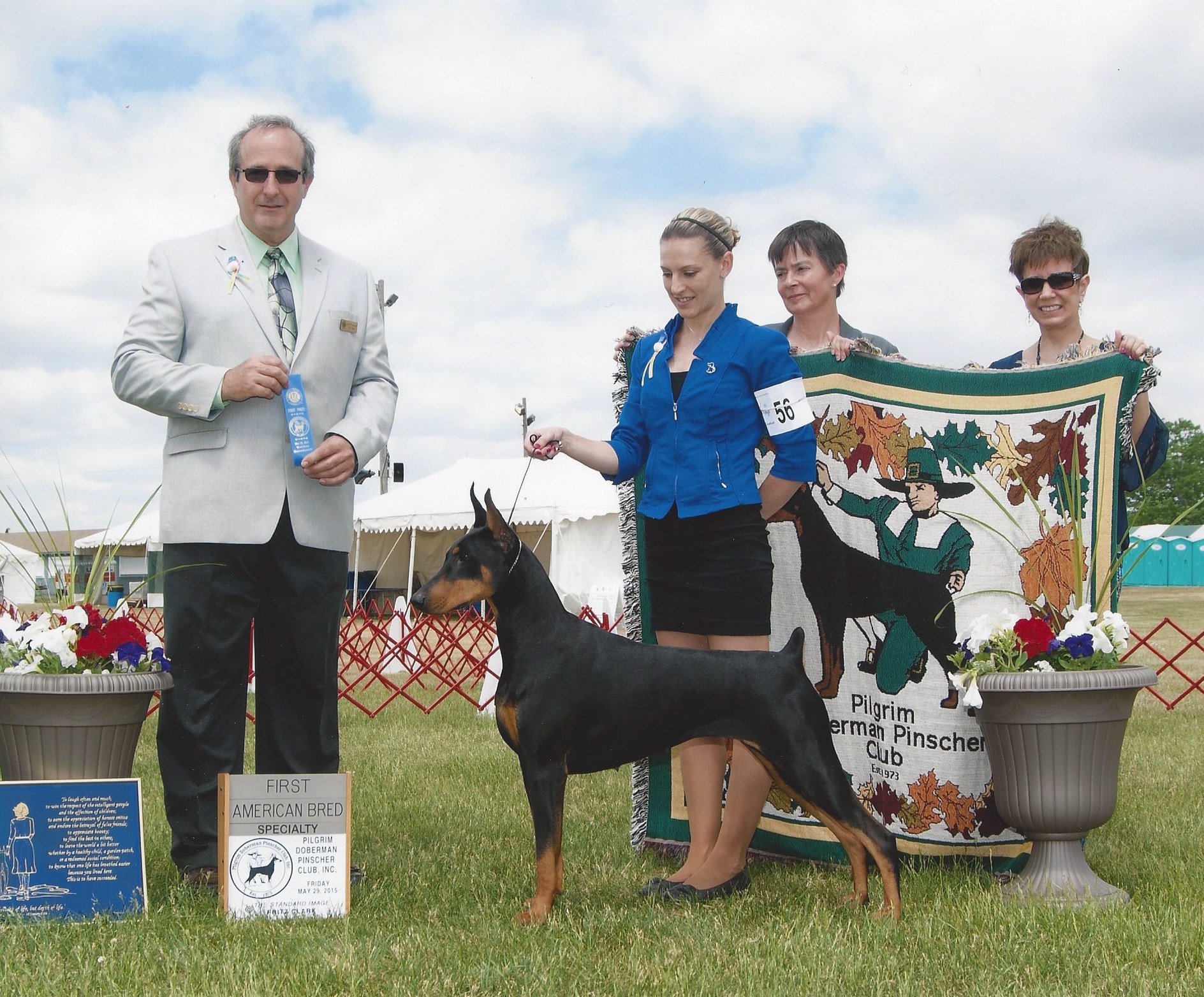 kettle cove dobermans