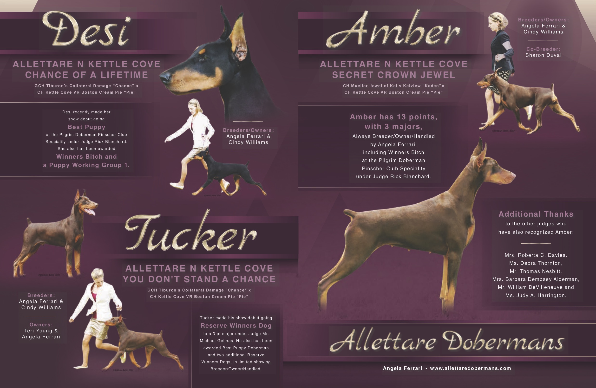 Allettare Doberman's Pre-Nationals