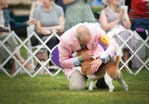 Marcelo hug Ham (1).jpg