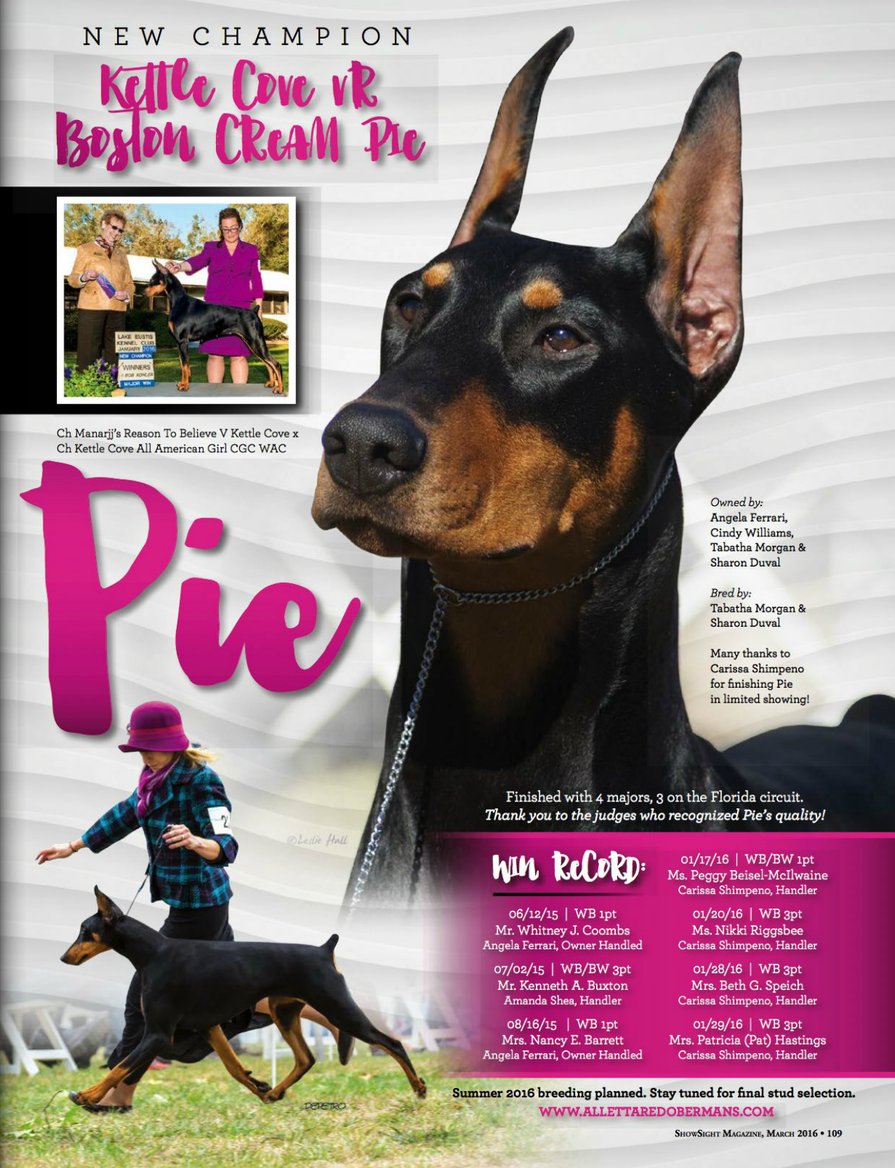 New Champion Pie