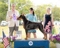 Allettare You Dont Stand A Chance