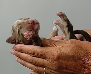 VID_20230712_130044300_exported_40348.jpg