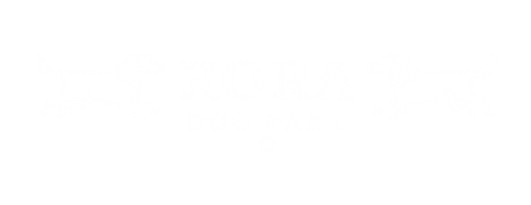 Logo white