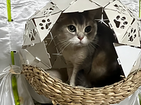 Screenshot 2025-10-21 at 20.03.47.png