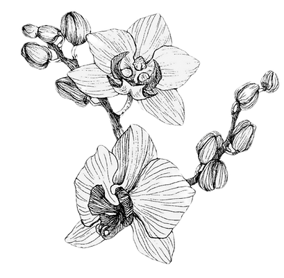 Untitled design-3_edited_edited.png