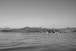 IMG_1867