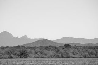 IMG_9752