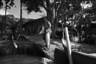 IMG_0498