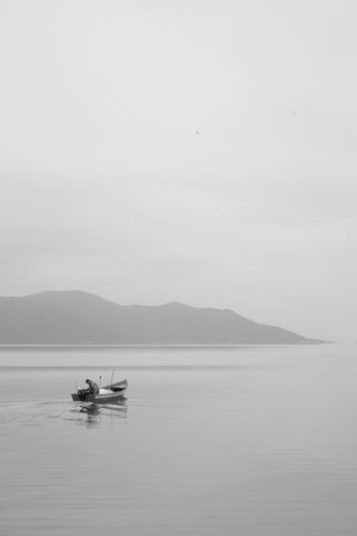 IMG_0649