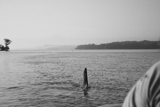 IMG_0206