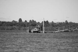 IMG_9931