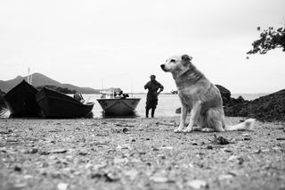 IMG_4481