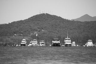 IMG_9528