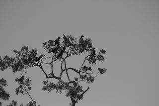 IMG_0184