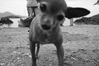 IMG_4489