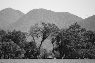 IMG_9632
