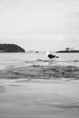 IMG_4707
