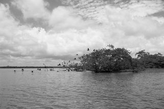 IMG_0848
