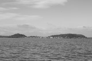 IMG_0406