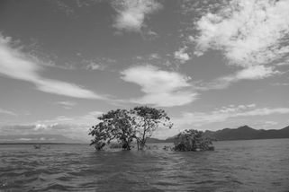 IMG_0445