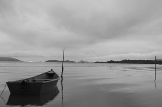 IMG_0047