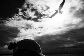IMG_3364