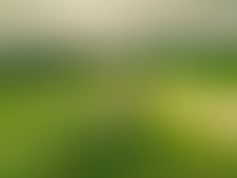 The Family Farm: Every Kind of Photography