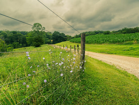 The Family Farm: Every Kind of Photography