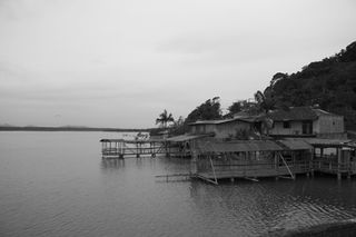 IMG_0692