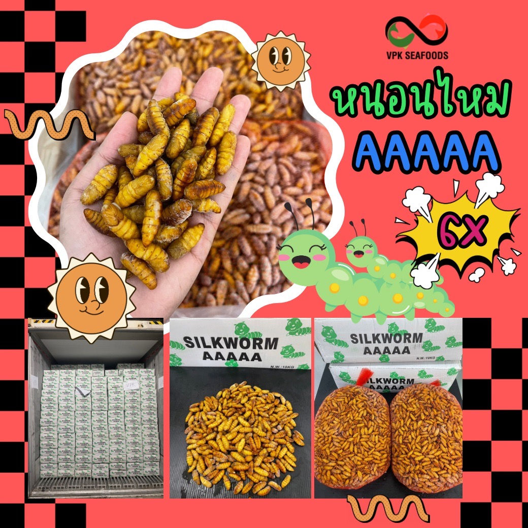 หนอนไหม AAAAA