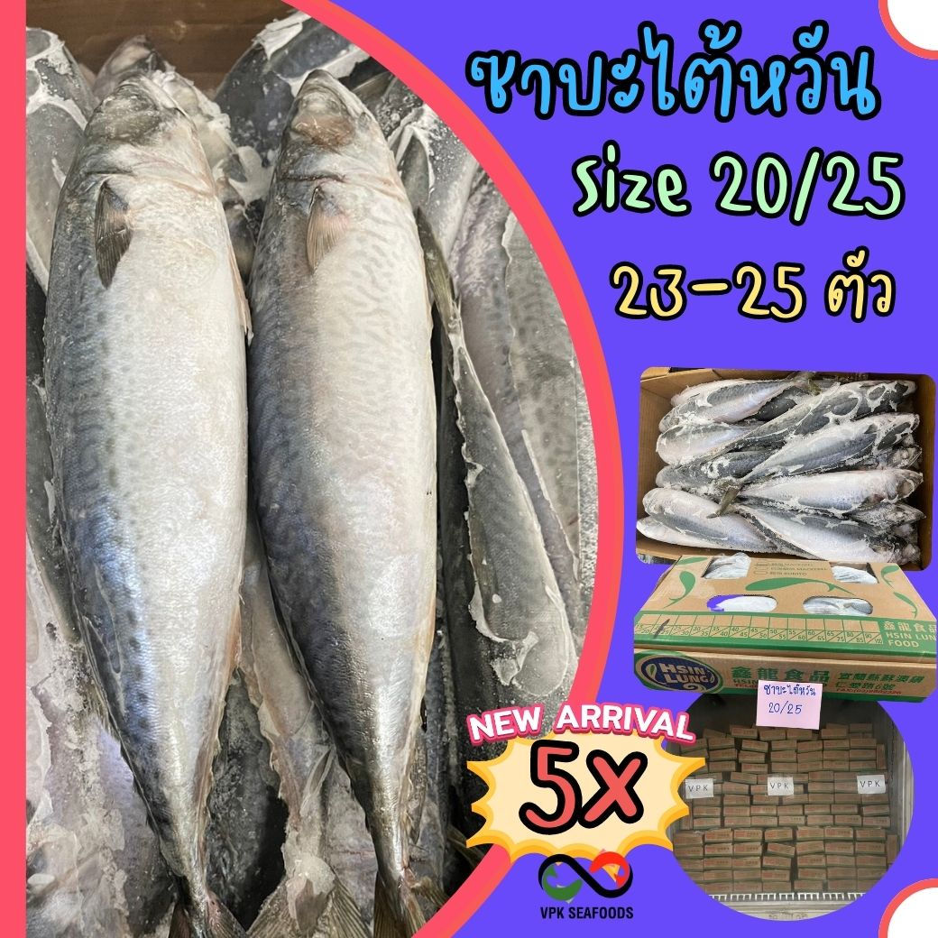 ซาบะไต้หวัน 20/25 