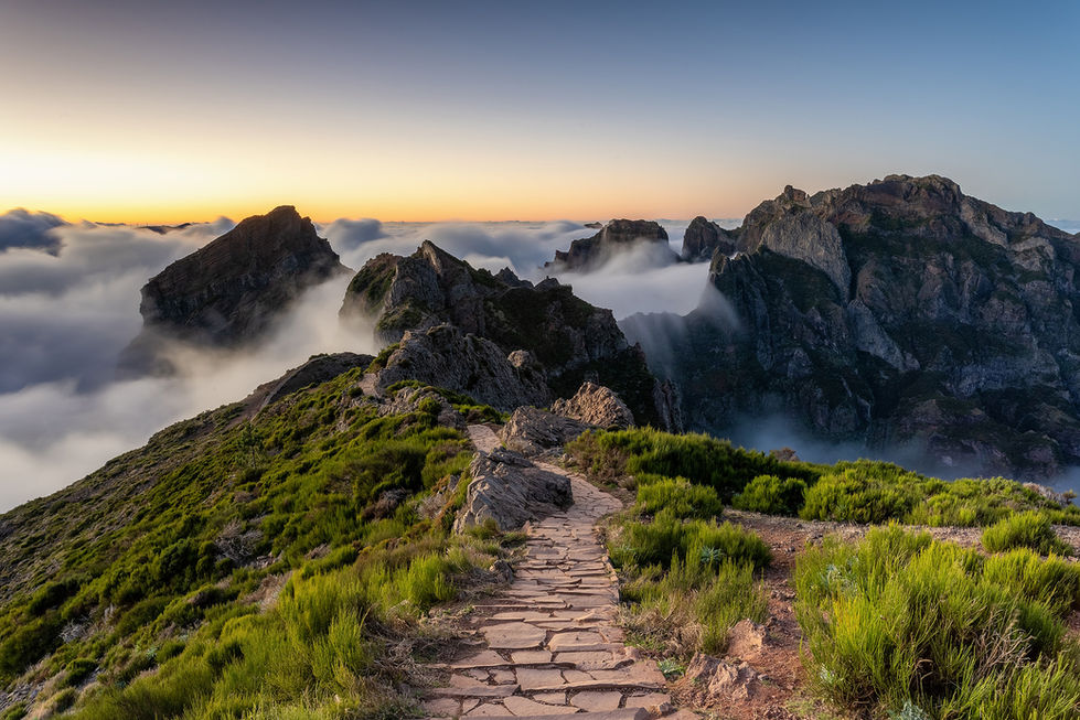 Madeira (12)