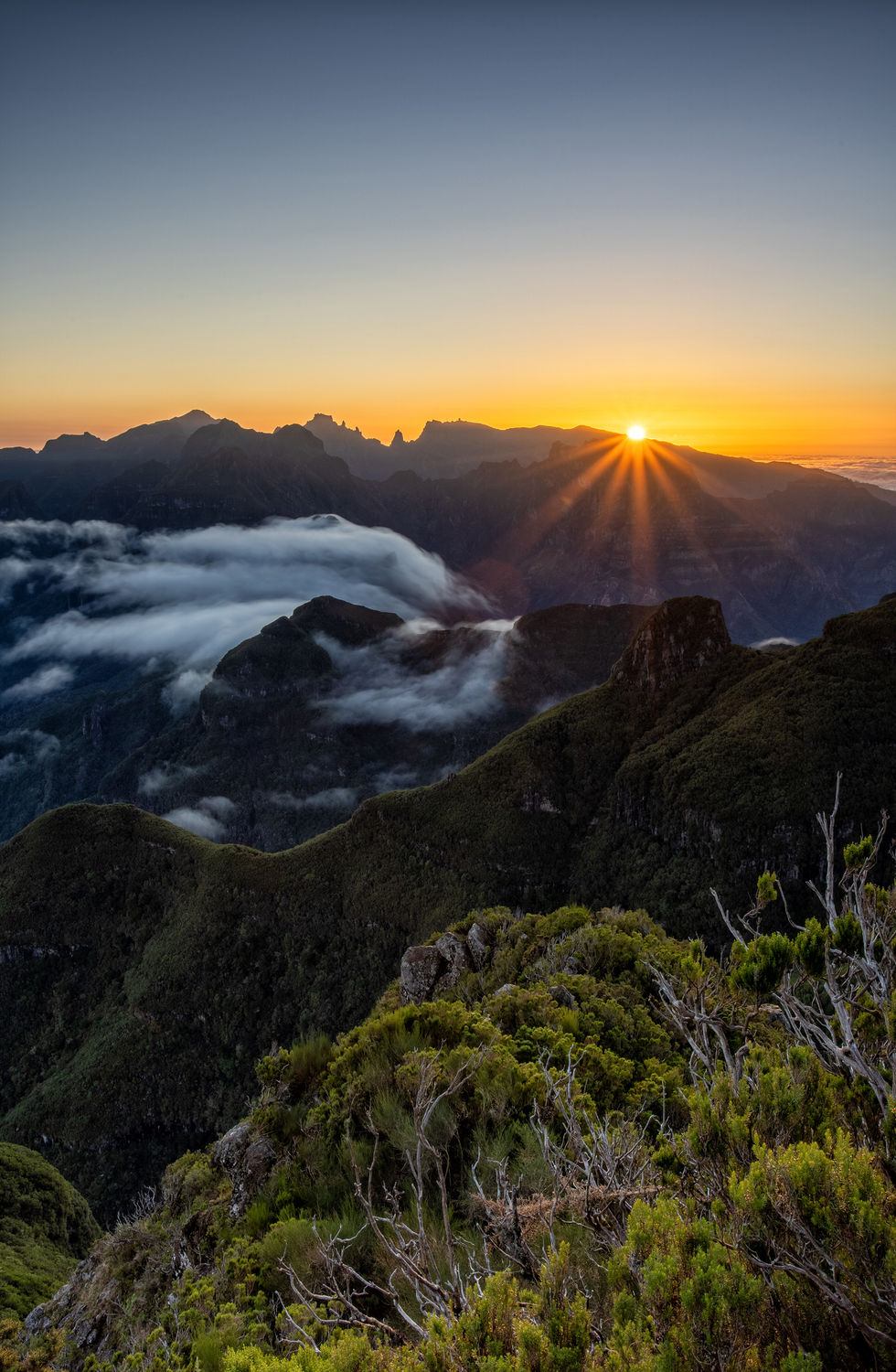 Madeira (10)