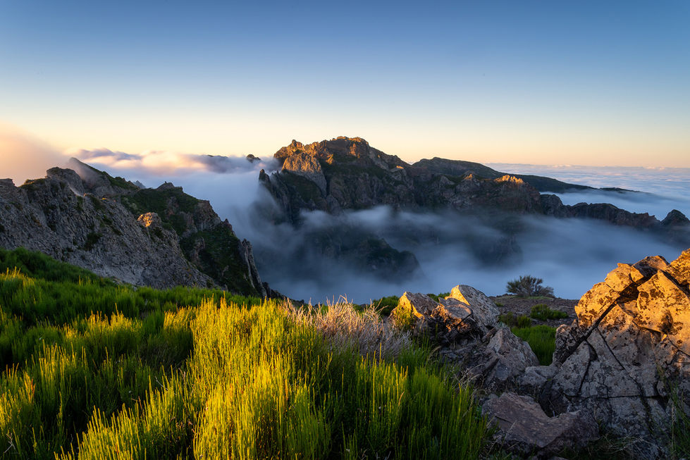 Madeira (16)