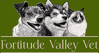 FVV logo website small.jpg