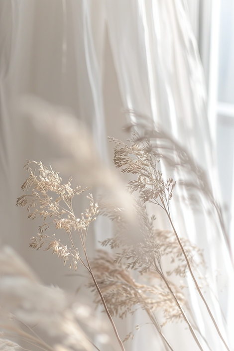 u9141948797_soft_natural_light_peaceful_spiritual_atmosphere__cfc40098-4a60-45d2-a8ff-021e