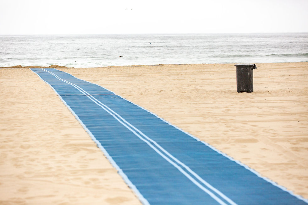 Example of a beach access mat