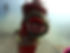 23317916_l.jpg