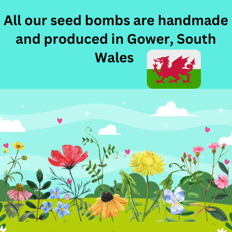 Thumbnail: 200 x Wildflower Seed Bombs Flower Garden Wild. Flower. Bee and butterfly