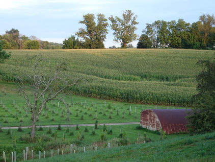 See the proposed Fair Mills Yield Roadway