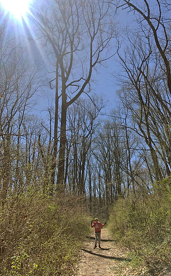 Flint woods 4-2-23.jpg