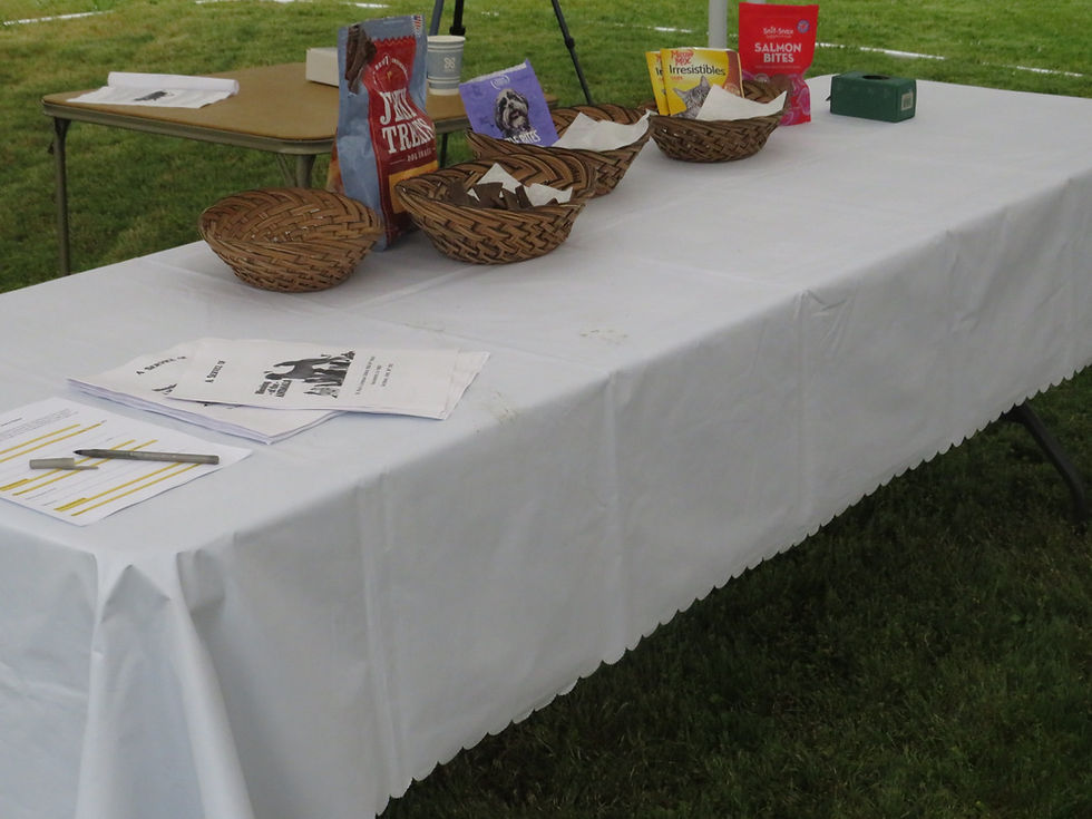 Community Yard Sale